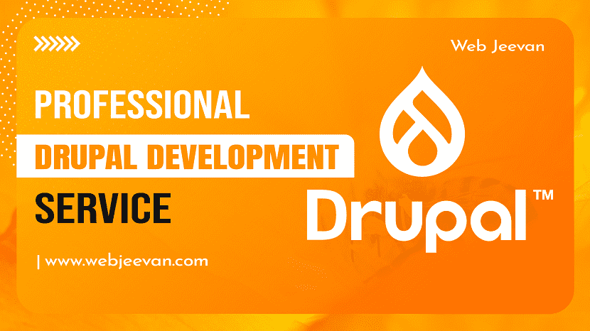 Professional Drupal Development Service