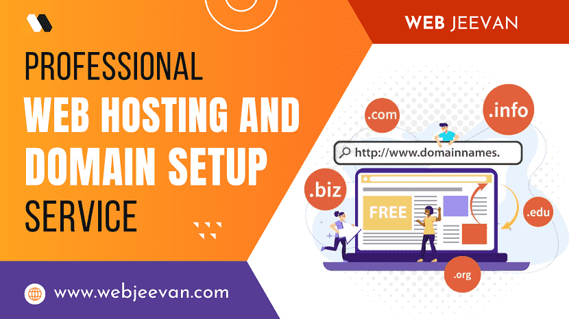 Professional Web Hosting And Domain Setup Service