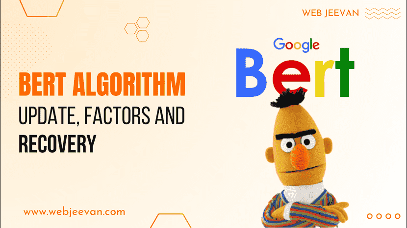 BERT Algorithm Update, Factors and Recovery