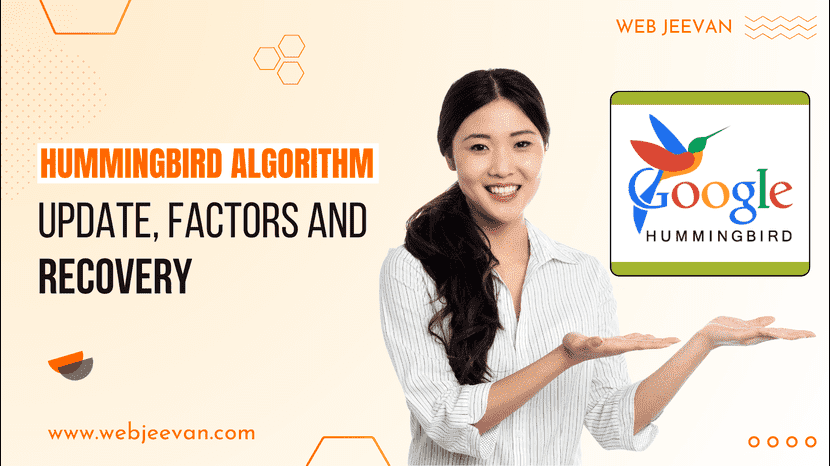 Hummingbird Algorithm Update, Factors and Recovery