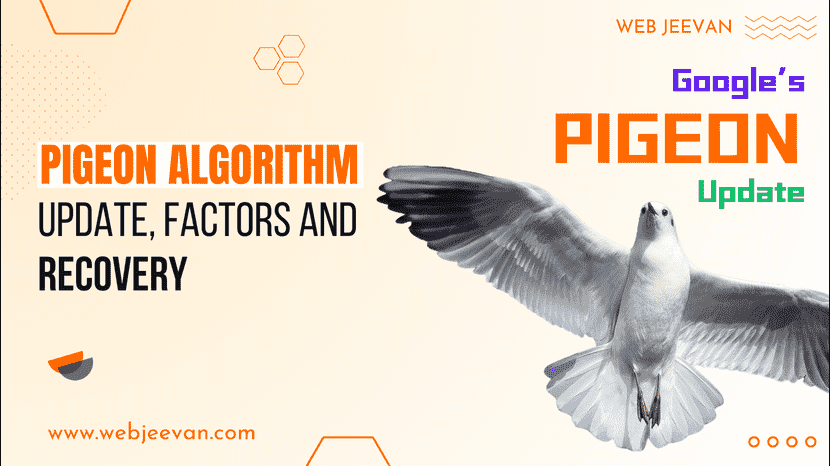 Pigeon Algorithm Update, Factors and Recovery